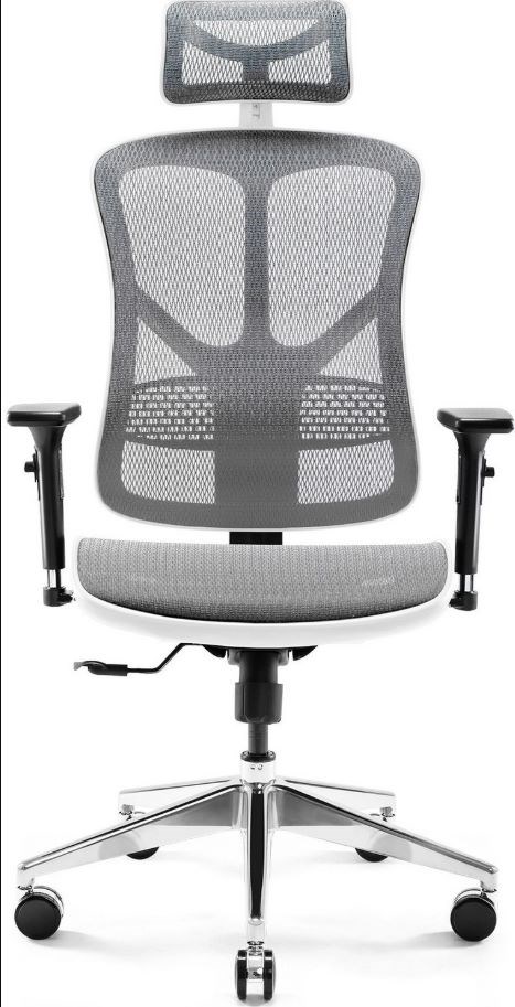 Karrige gaming Diablo V-BASIC, ngjyrë e bardhë dhe gri